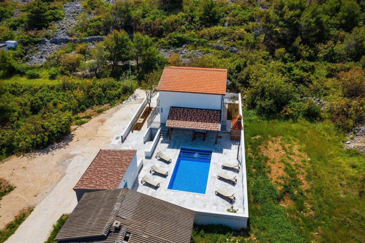 Vitez'S House Novigrad/Knight'S House Novigrad Apartment Novigrad  Exterior foto